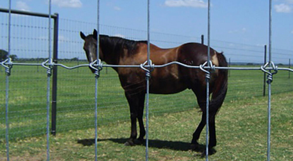 caballo en establo de malla de triple nudo